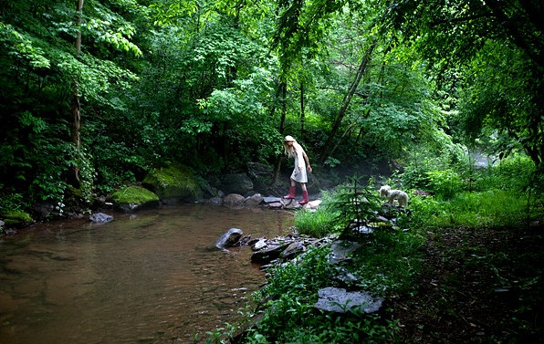 The tiniest cottage you've ever seen / la cabañita más pequeña que hayas visto!!! / casahaus.net