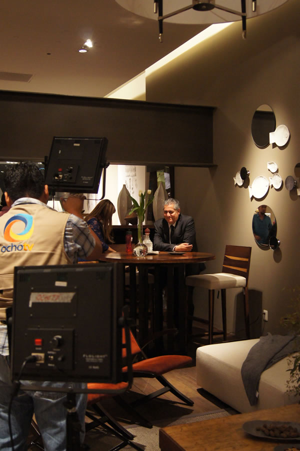 interiorismo y tendencias