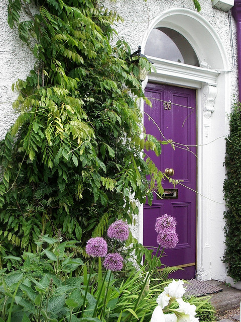 casa haus | purple door