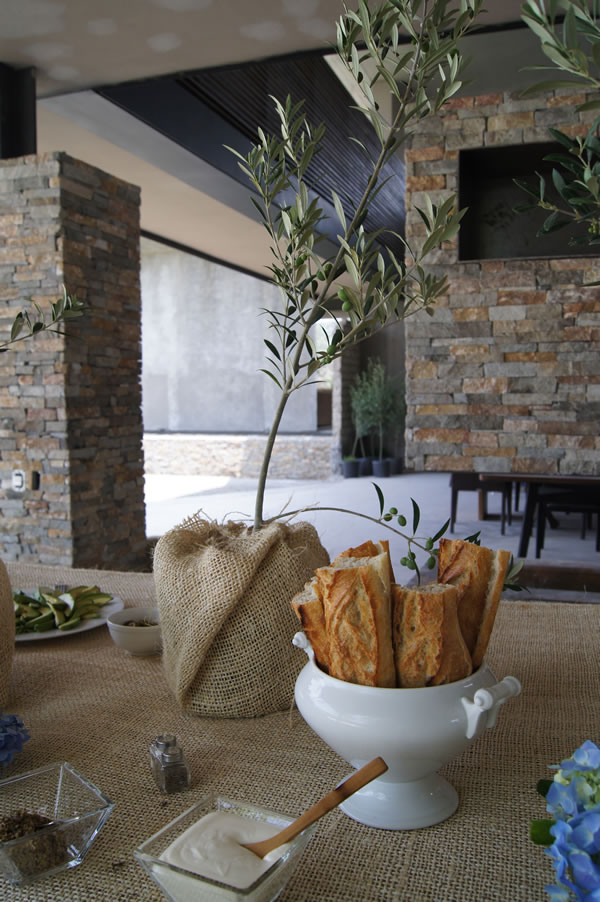 casa haus | olivo y bolillo