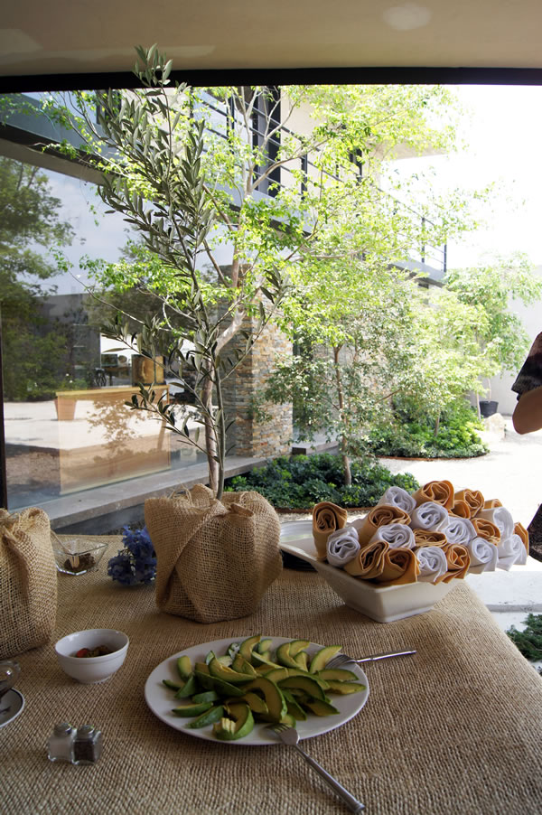 casa haus | mesa aguacate