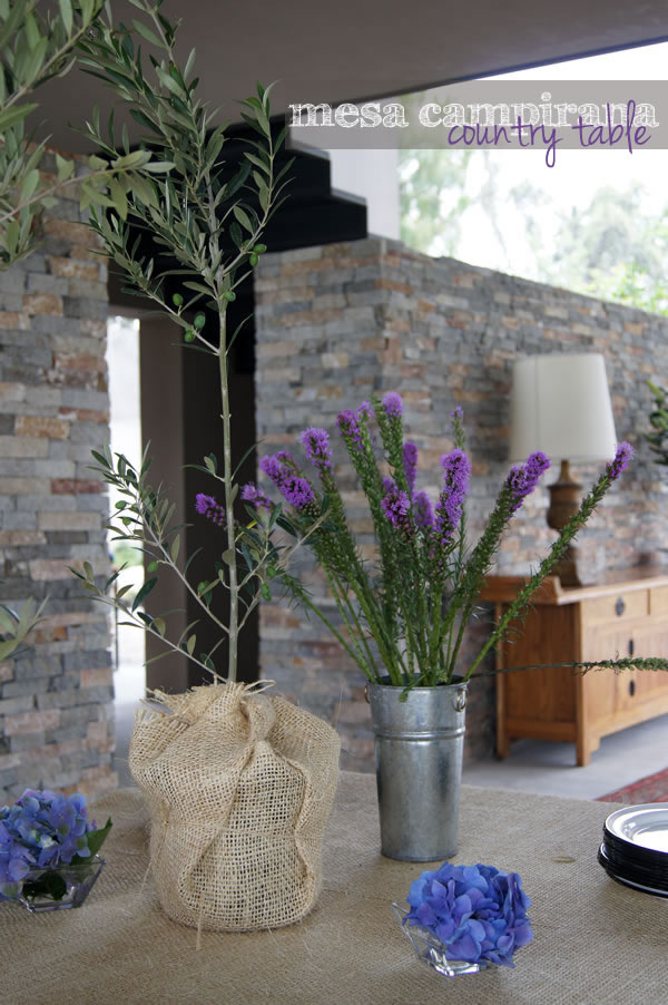 casa haus | mesa campirana