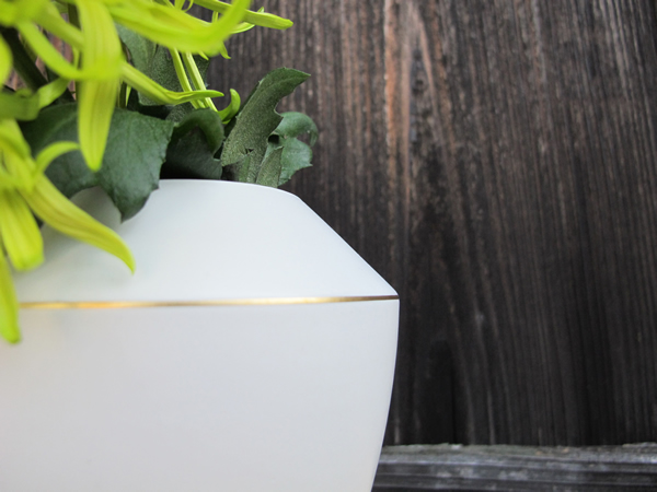 Laura Noriega | Casa Haus