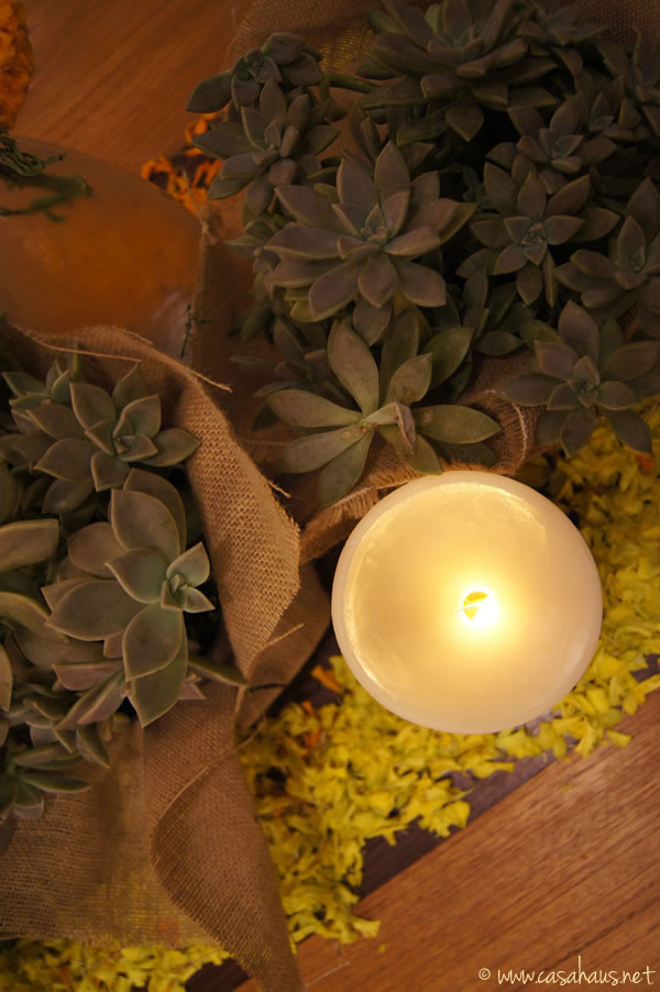 suculentas en la mesa | Casa Haus