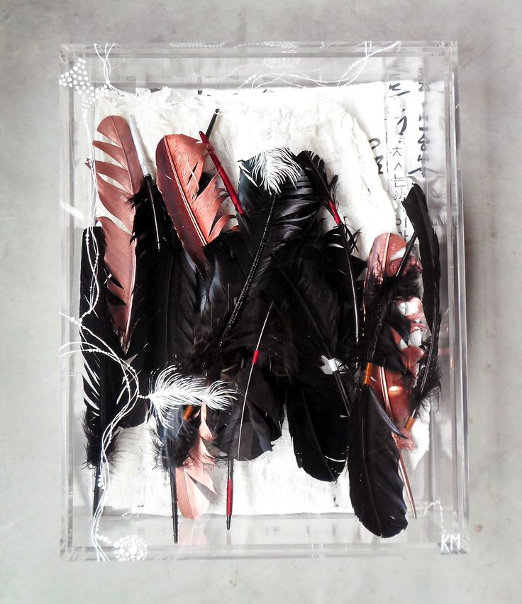 black and copper feathers