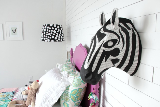 zebra head