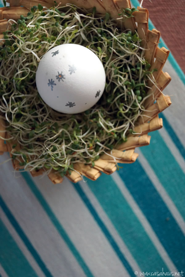 Casa Haus: Easter egg decorating / Huevos de Pascua