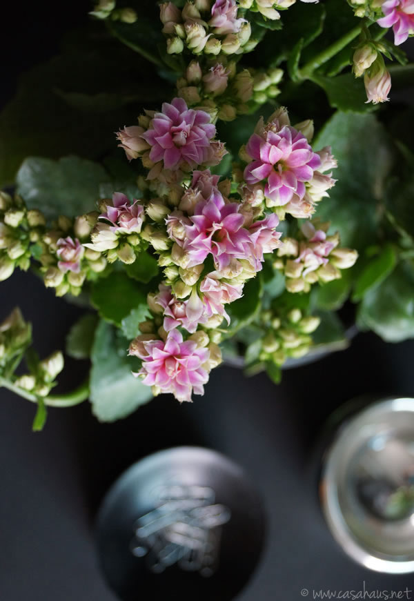 Quedamos en un rincón verde | Casa Haus