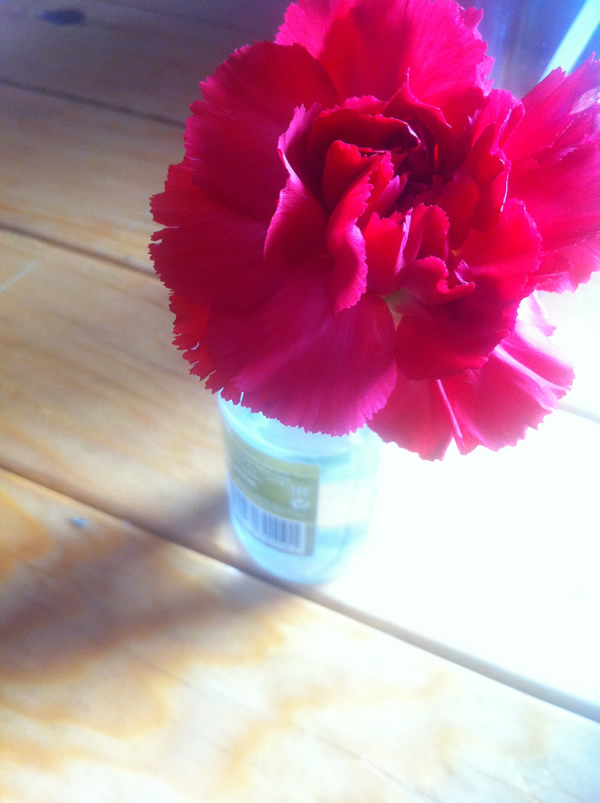 Clavel en la mesa / Carnation on the table | Casa Haus