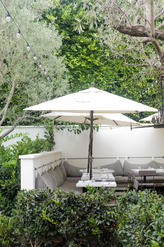 Gracias Madre Restaurant | Casa Haus