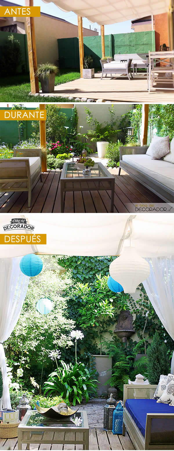 Amazing backyard makeover // Increíble transformación del jardín // Casa Haus