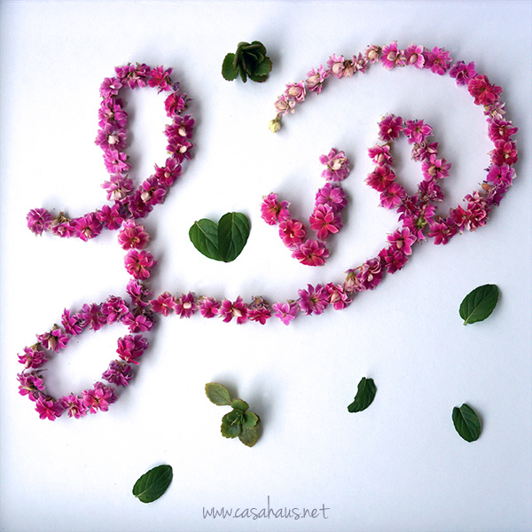 Spread the love // Casa Haus