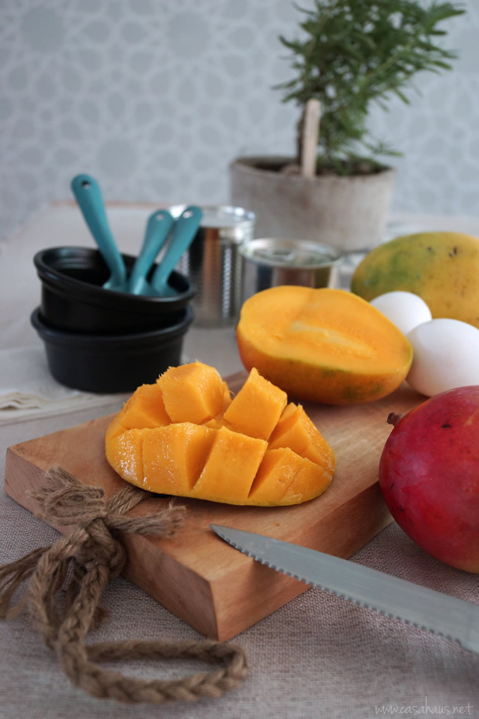 Yummy mango ice cream, gelatto style / Helado de mango suave por casahaus.net