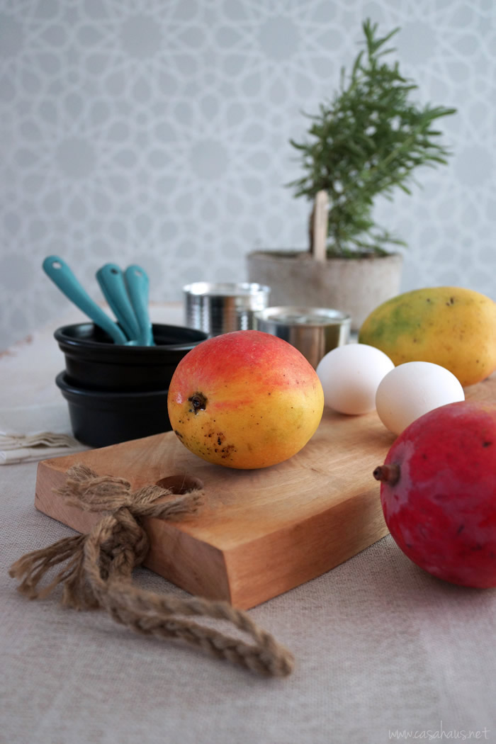 Yummy mango ice cream, gelatto style / Helado de mango suave por casahaus.net