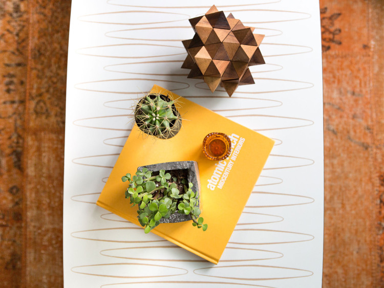 Tiny house in Austin / Hermosa casa en 40 m2 // casahaus.net