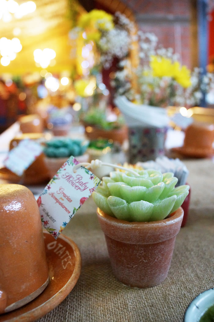 Succulent baby shower / Un baby shower suculento - Casa Haus Deco