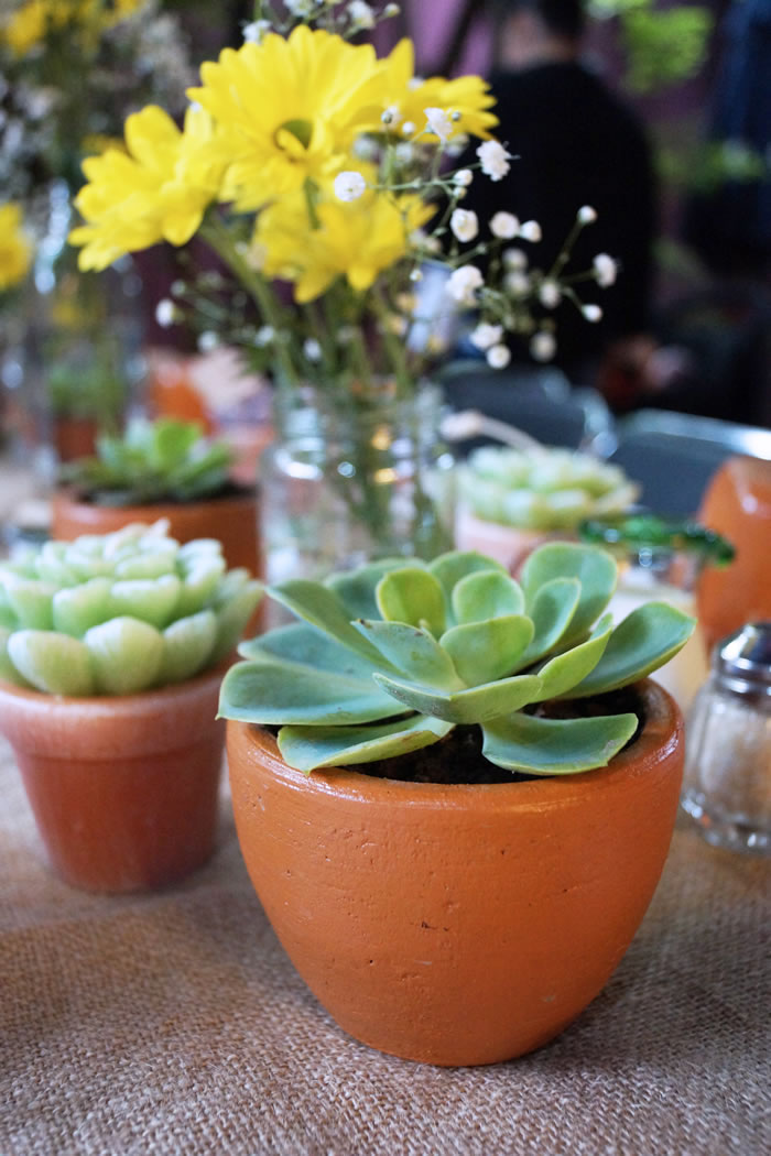 Succulent baby shower / Un baby shower suculento - Casa Haus Deco