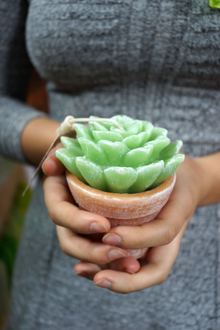 Succulent baby shower / Un baby shower suculento - Casa Haus Deco