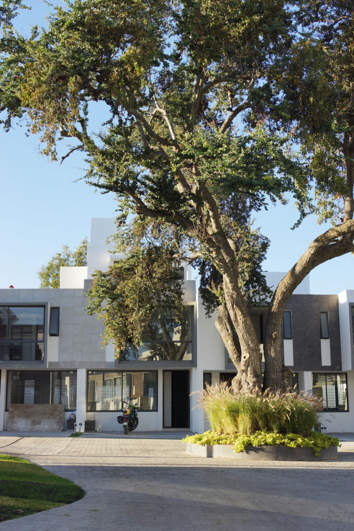 New year new life / Año nuevo vida nueva - Casa Haus Decor