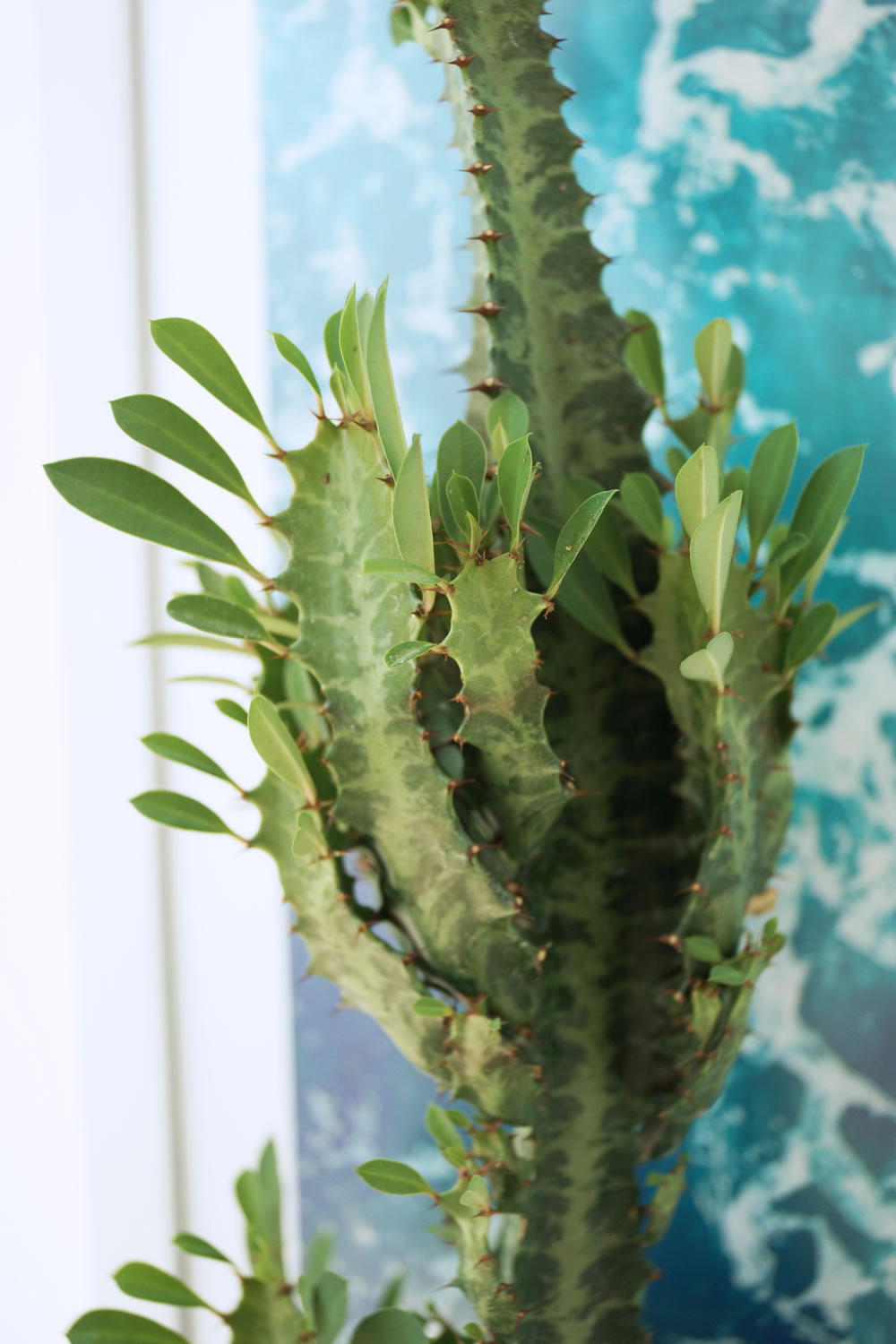 La remodelación del baño de Sofi - Casa Haus